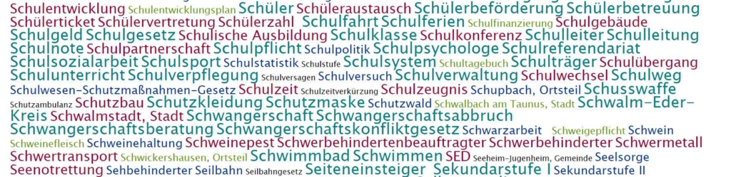 Wortwolke des Hessischen Landtags